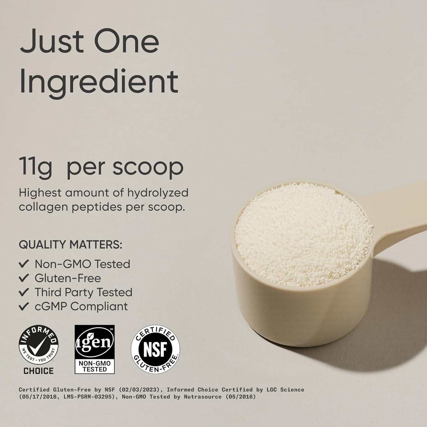 Collagen Peptides  Unflavored 16 OZ
